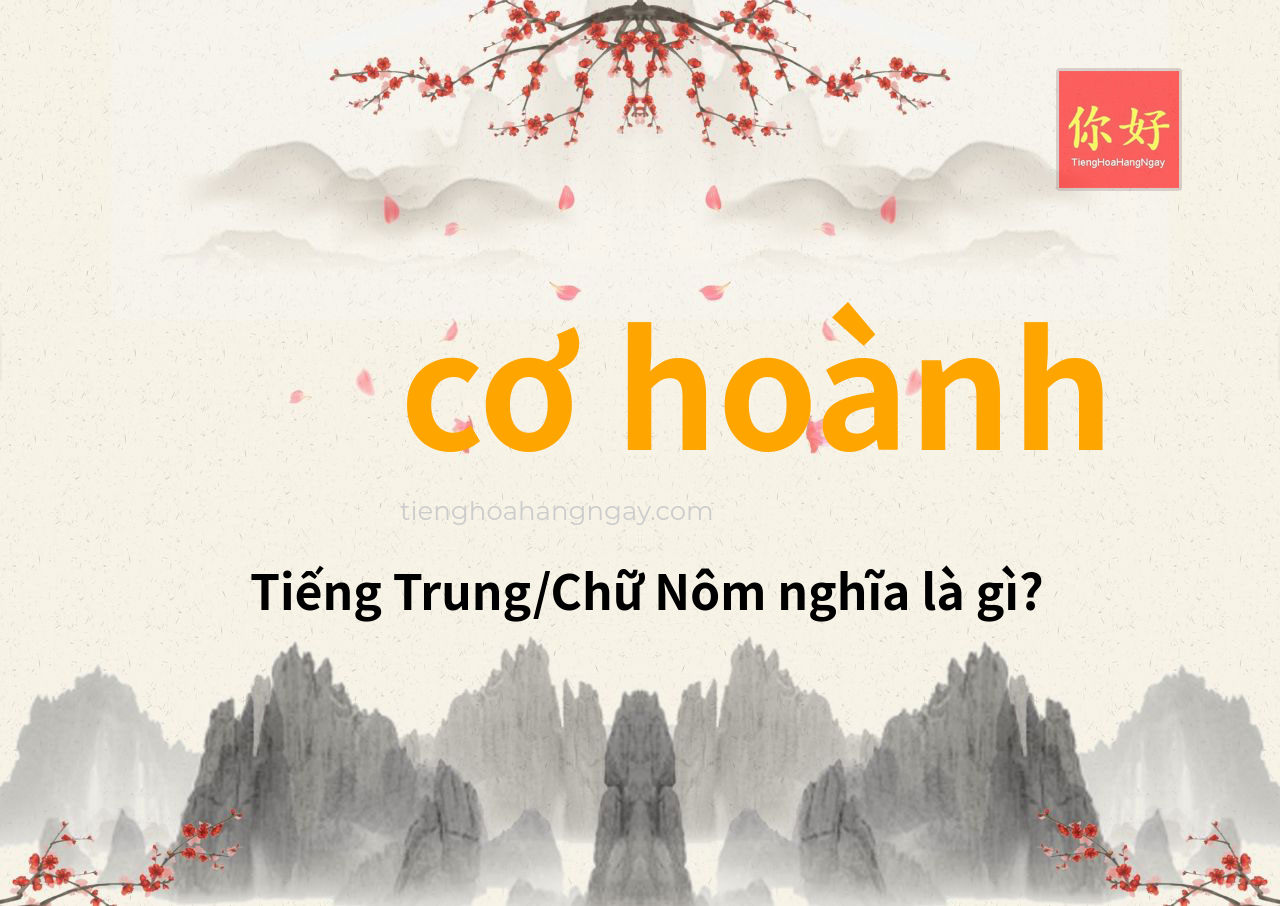 cơ hoành tiếng Trung là gì?